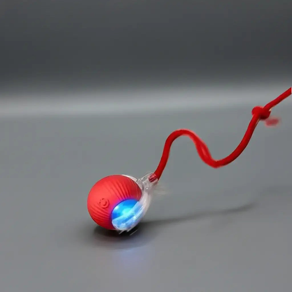 Smart Interactive Cat Toy BuyFinity