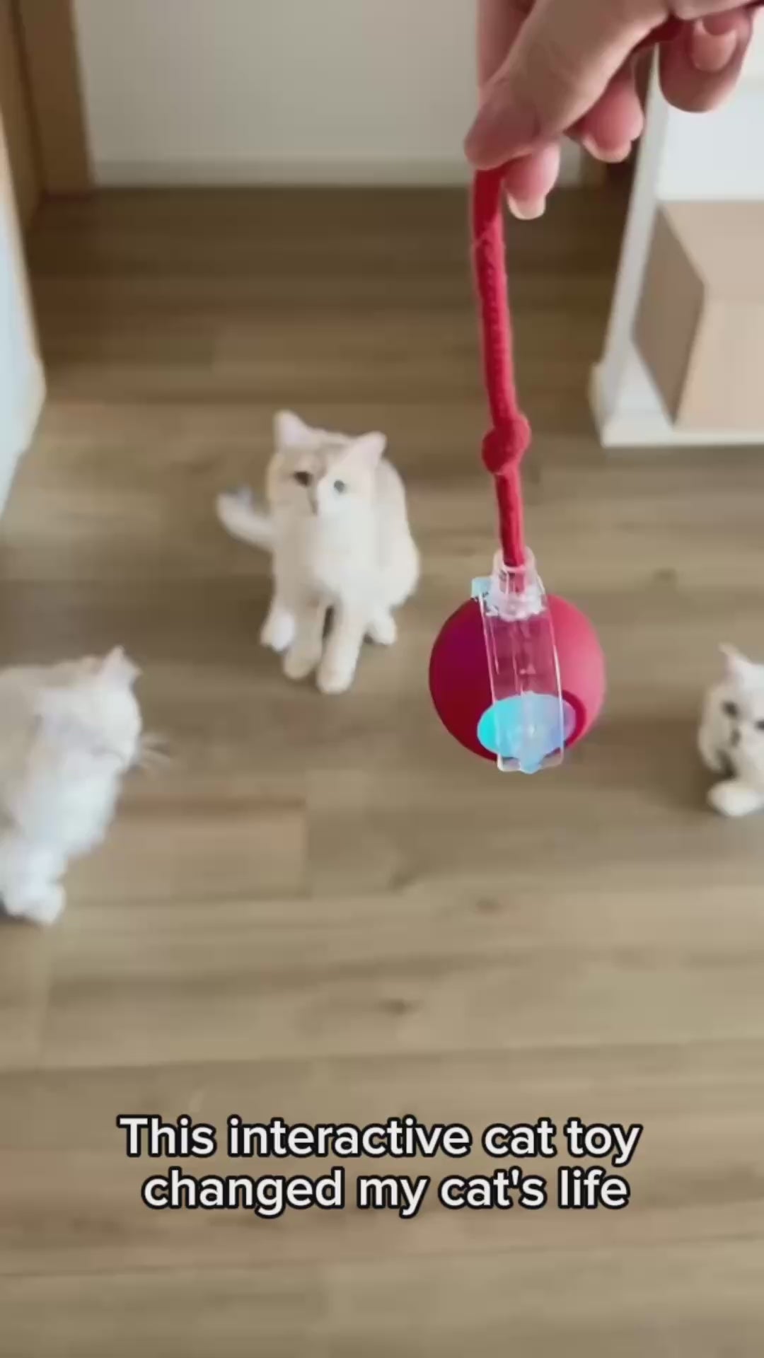 טוען וידאו: 