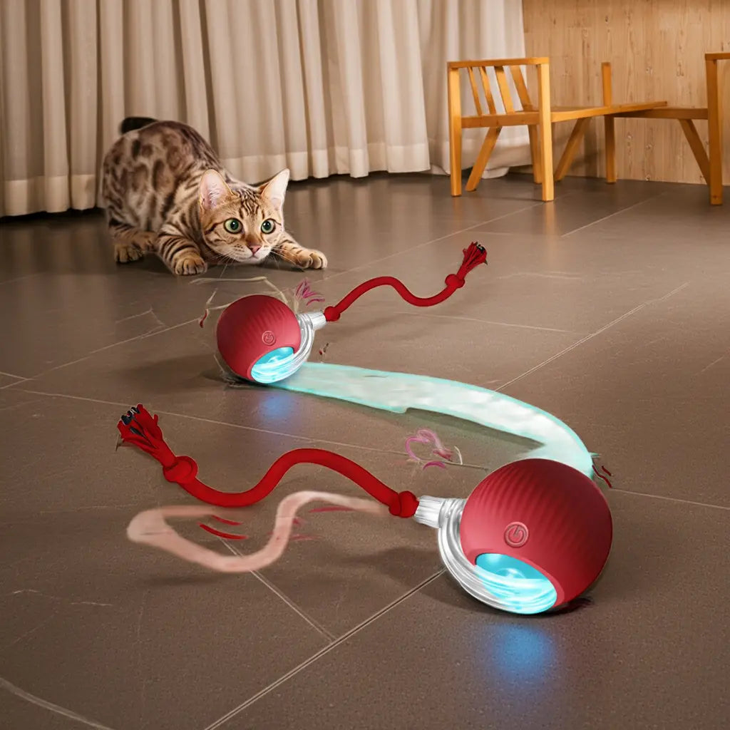 Smart Interactive Cat Toy BuyFinity
